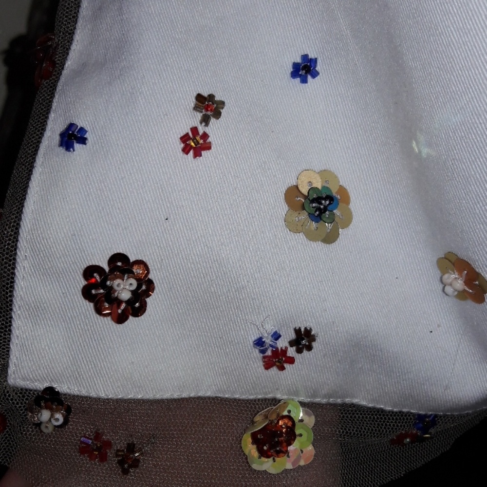 NWOT Cordelia Bead/Sequin Trimmed Skirt